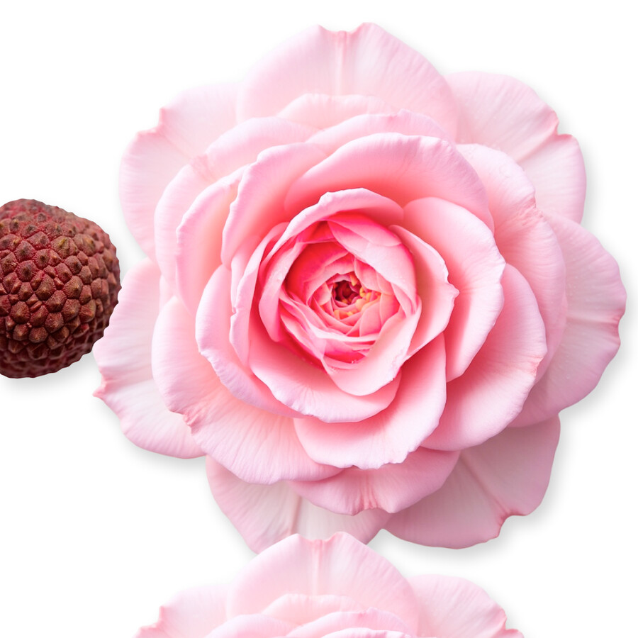 dÉlina rechargeable crÈme pour le corps
– parfums de marly