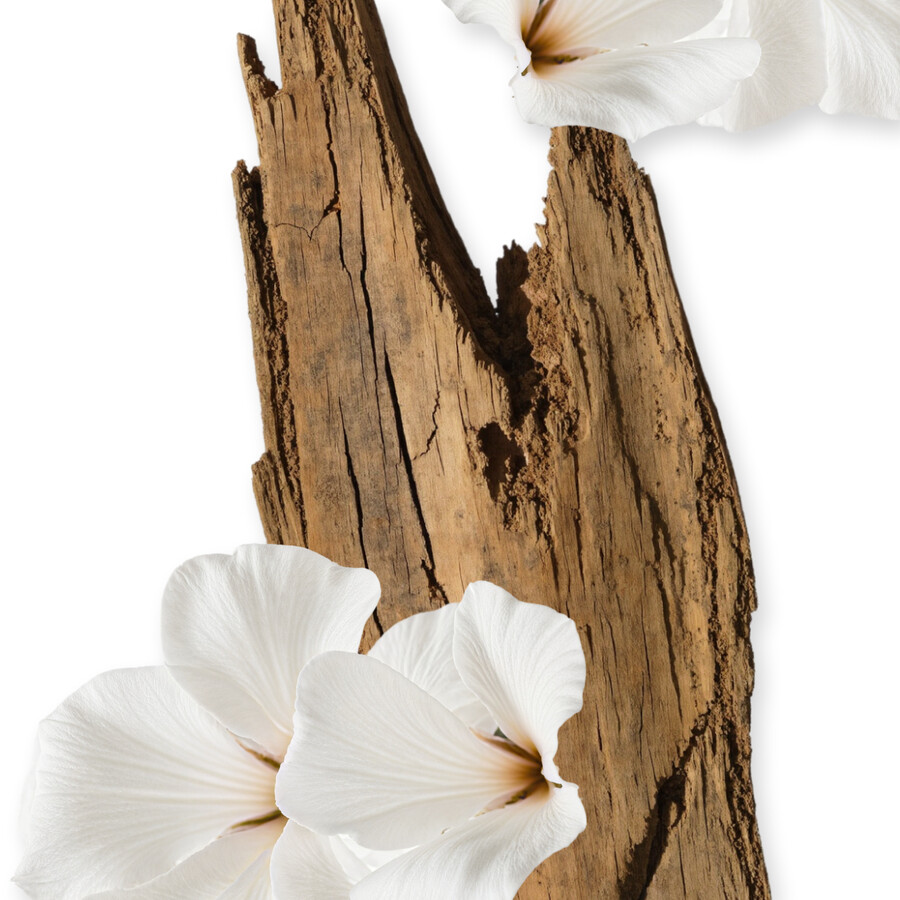 valaya crÈme pour le corps de recharge
– parfums de marly